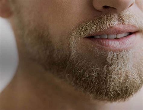 handsome man beard|beard styles for men chart.